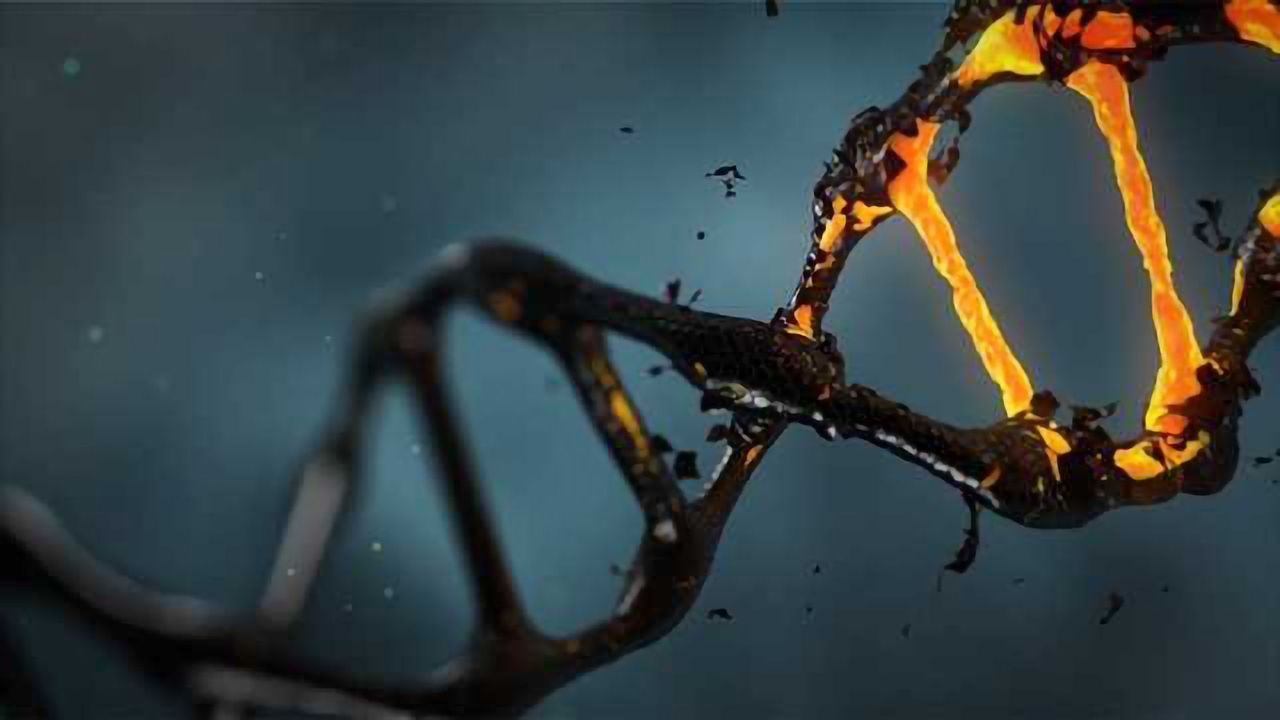 Understanding the Language of the Genome