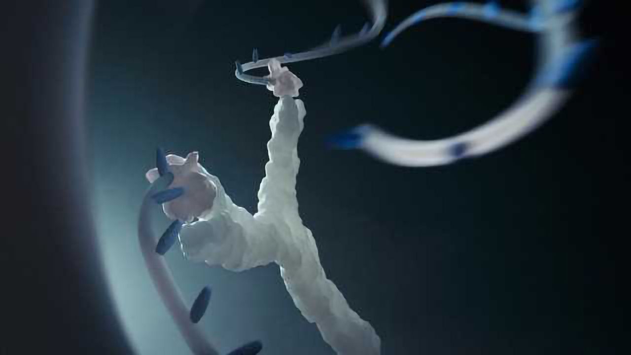 Antibody-Powered Nucleic Acid Release Using a DNA-Based Nanomachine