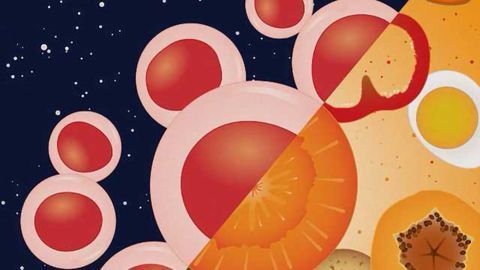 Vitamin A Deficiency is Detrimental to Blood Stem Cells