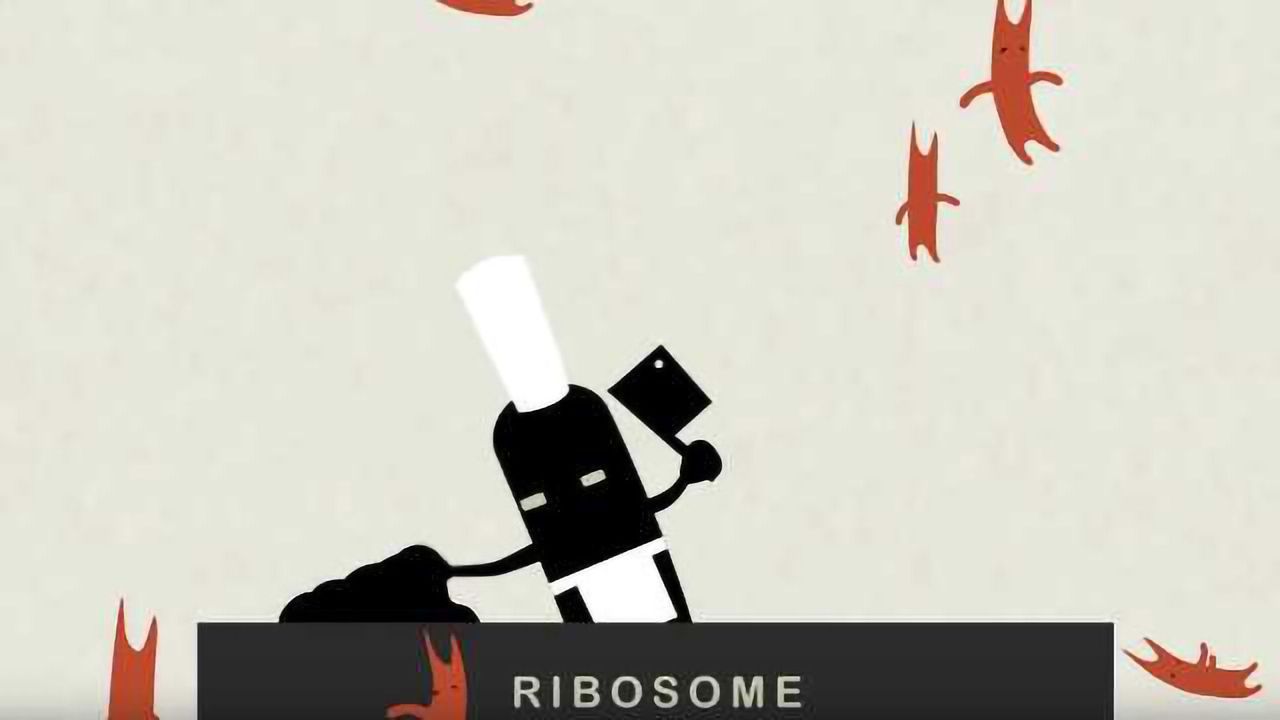 RNAi: Slicing, Dicing and Serving Your Cells