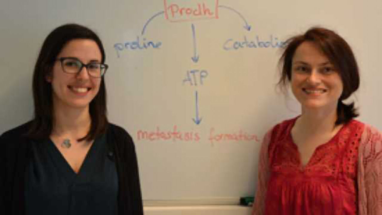 Metabolic Driver of Breast Cancer Metastasis Identified