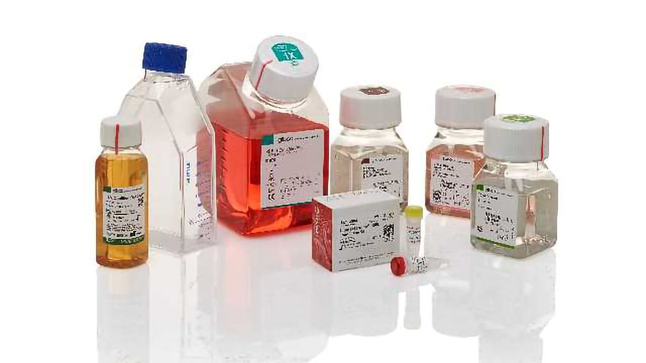 Introducing Gibco™ Cancer Cell Culture Starter Kits