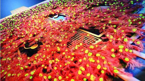 Heart-on-a-Chip Unveiled