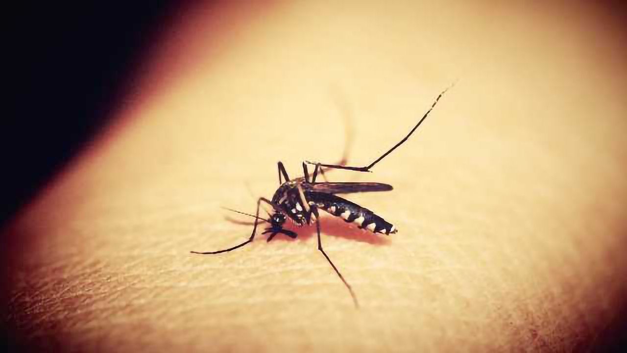 Detecting Zika Virus in Urine