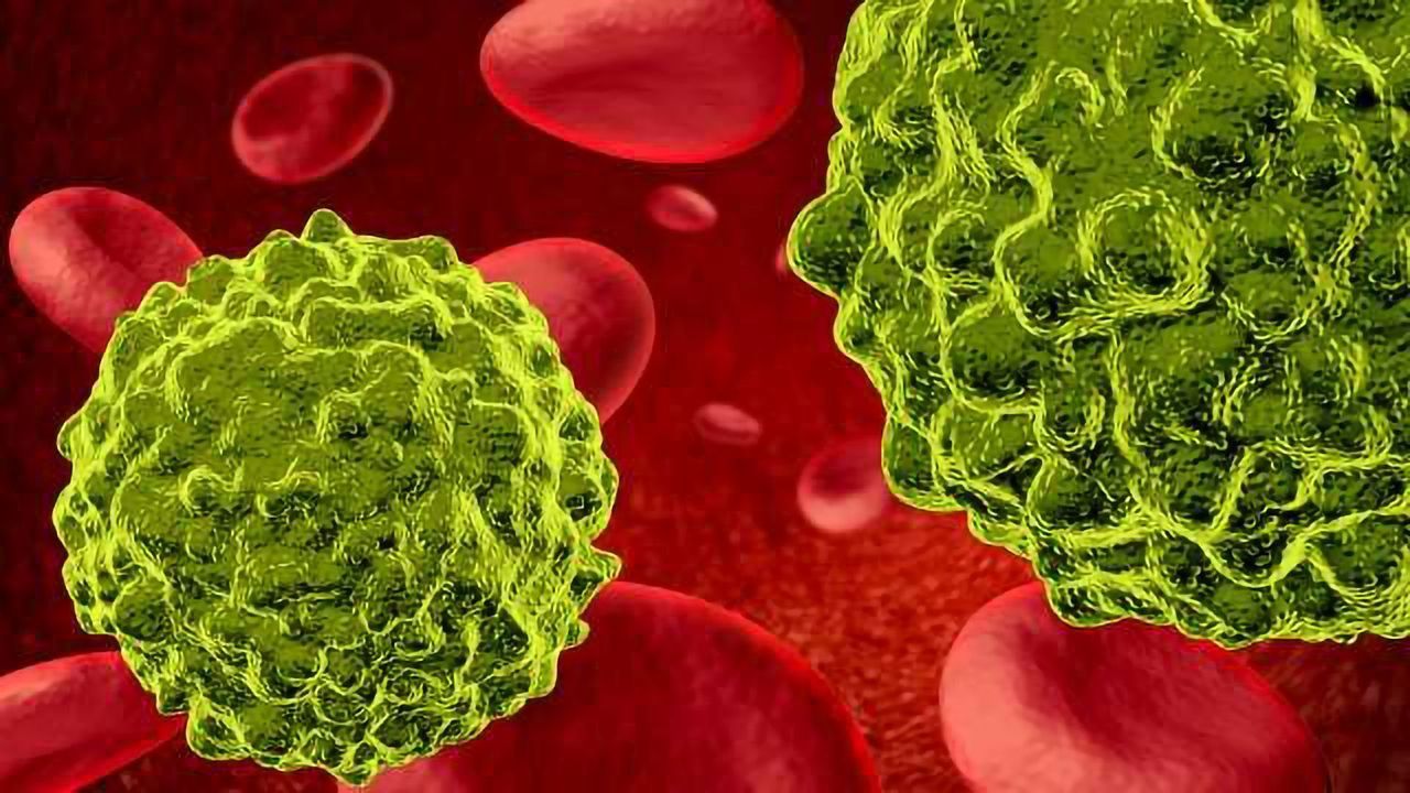 IDO Pathway Products for Immunotherapy Drug Research
