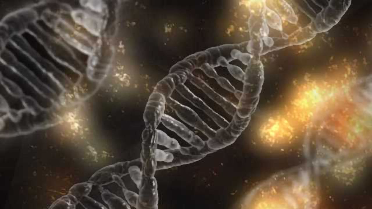 Lab-on-a-Chip Can Stretch DNA to Help Detect Disease
