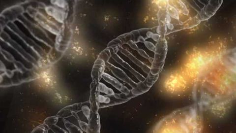 Lab-on-a-Chip Can Stretch DNA to Help Detect Disease