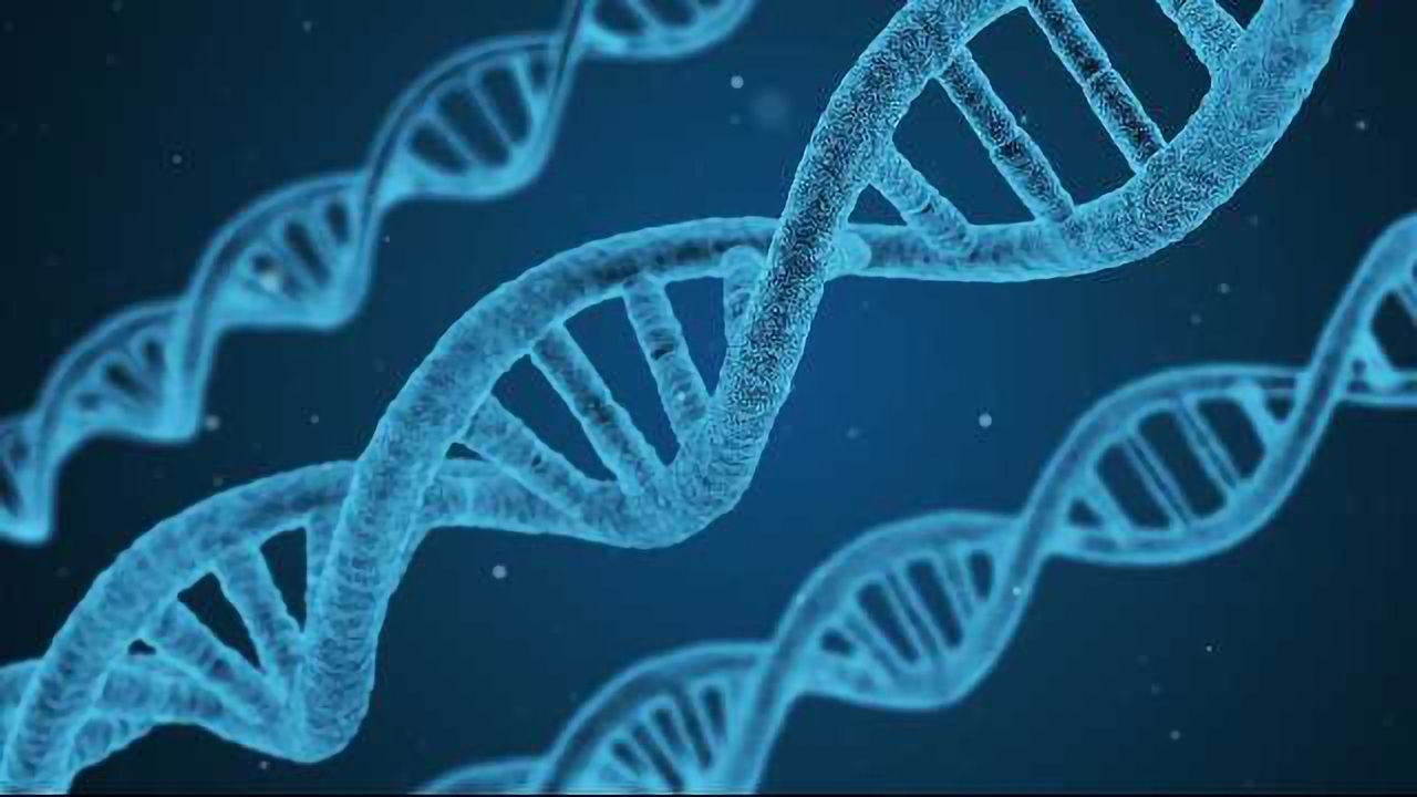 Detecting Telomere Length Could Help Predict Cancer Progression