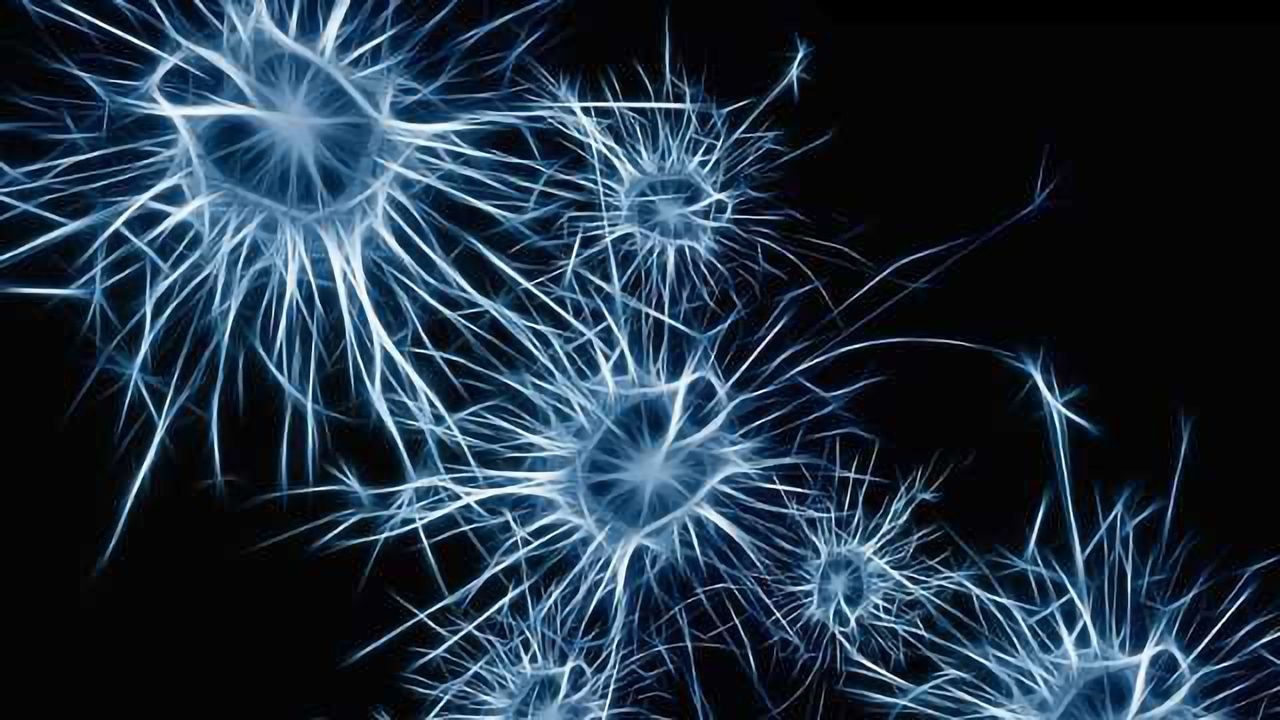 Offering Answers on Life Expectancy for Parkinson’s Sufferers