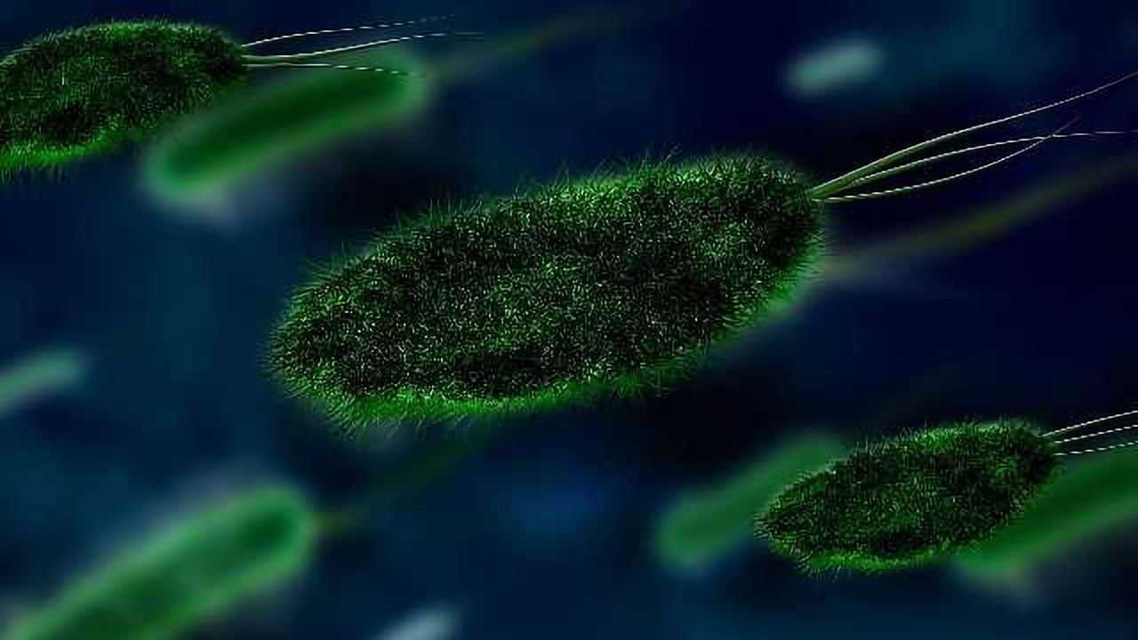 Changes in Gut Bacteria Could Help Detect Inflammatory Bowel Disease