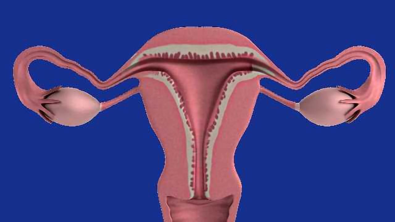 3-D Printed Ovaries Produce Healthy Offspring