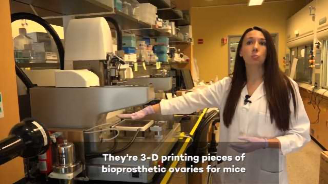 3-D Printed Ovaries Produce Healthy Offspring