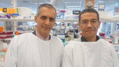 Liver Scarring Protein Identified in Breakthrough Study
