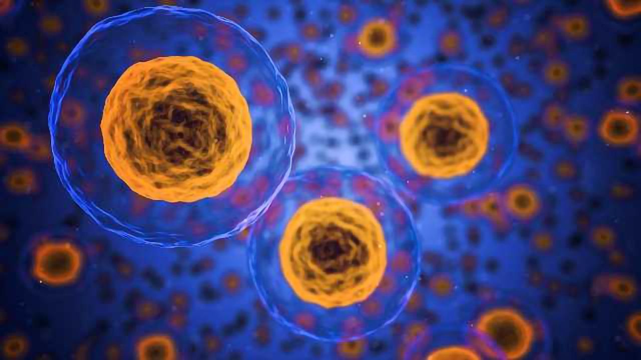 Sartorius Stedim Biotech Partners with Nova Biomedical