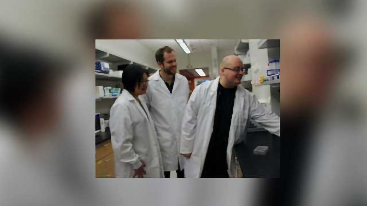 Brain Cells Fight Off West Nile Virus Infection With Specialized RIPK3 Signalling