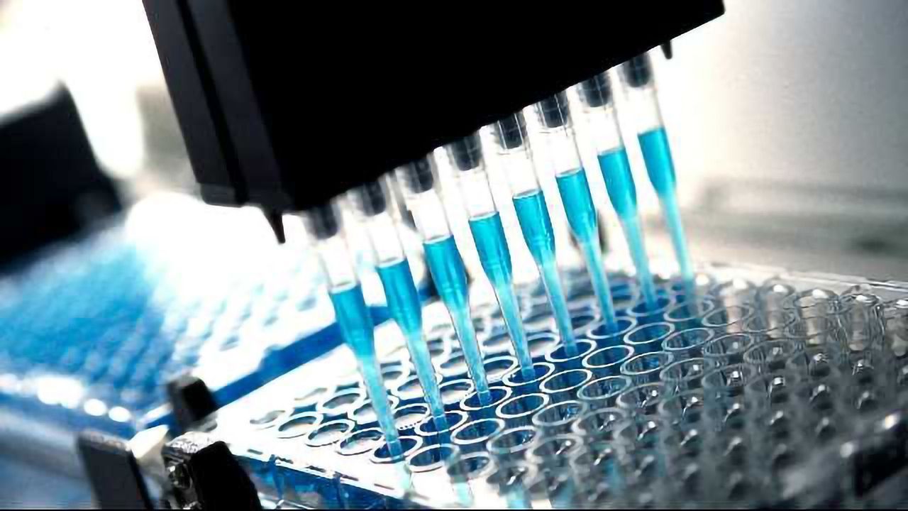 High Throughput Screening – Accelerating Drug Discovery Efforts