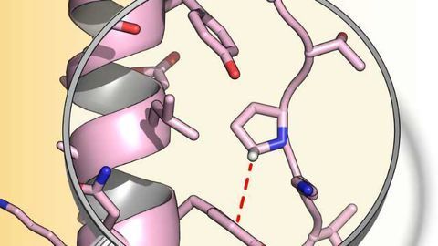 Engineering Protein Stability with Atomic Precision