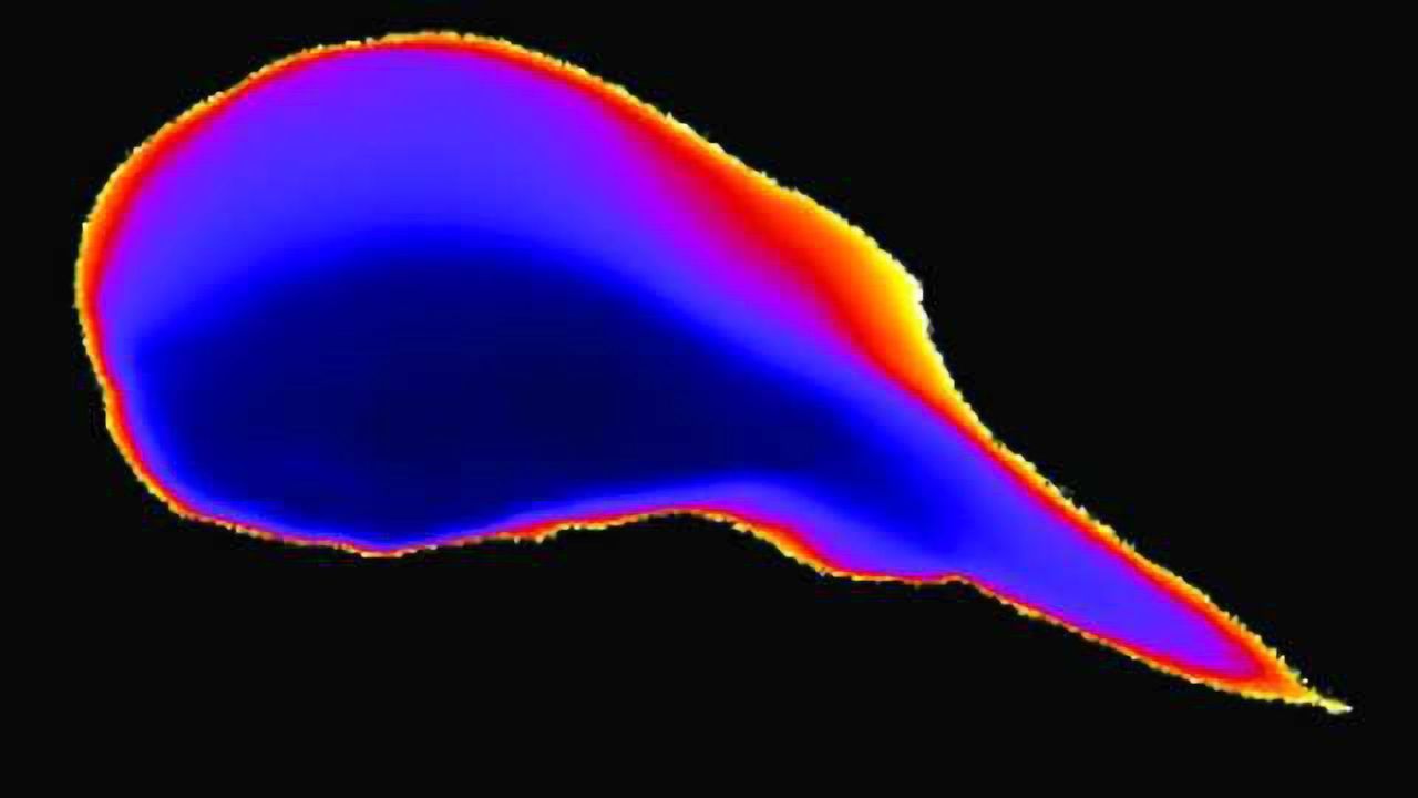 Pulmonary Thrombosis-on-a-Chip Developed