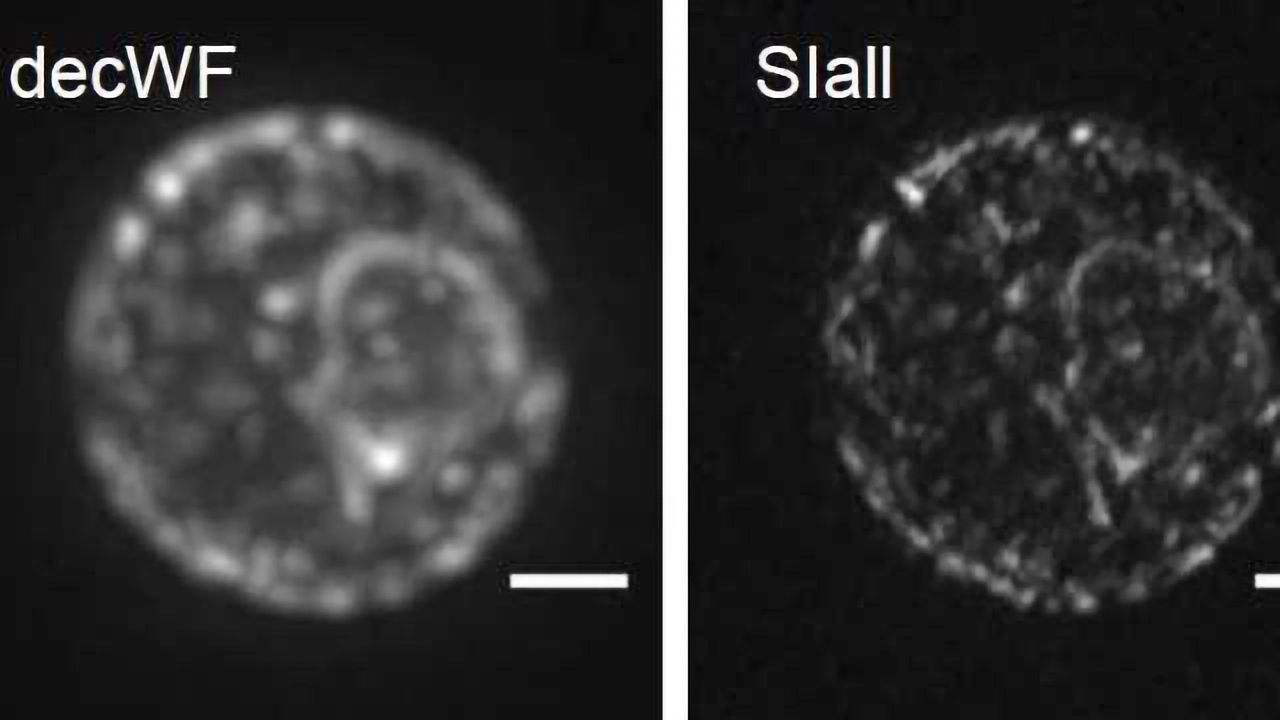 Precise Insight into the Depths of Cells