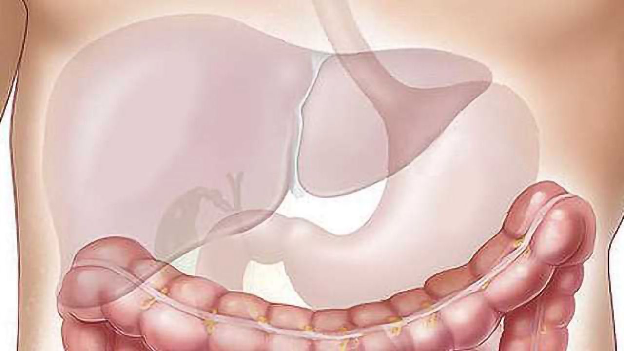 A Step Closer to Personalised Medicine for Liver Fibrosis