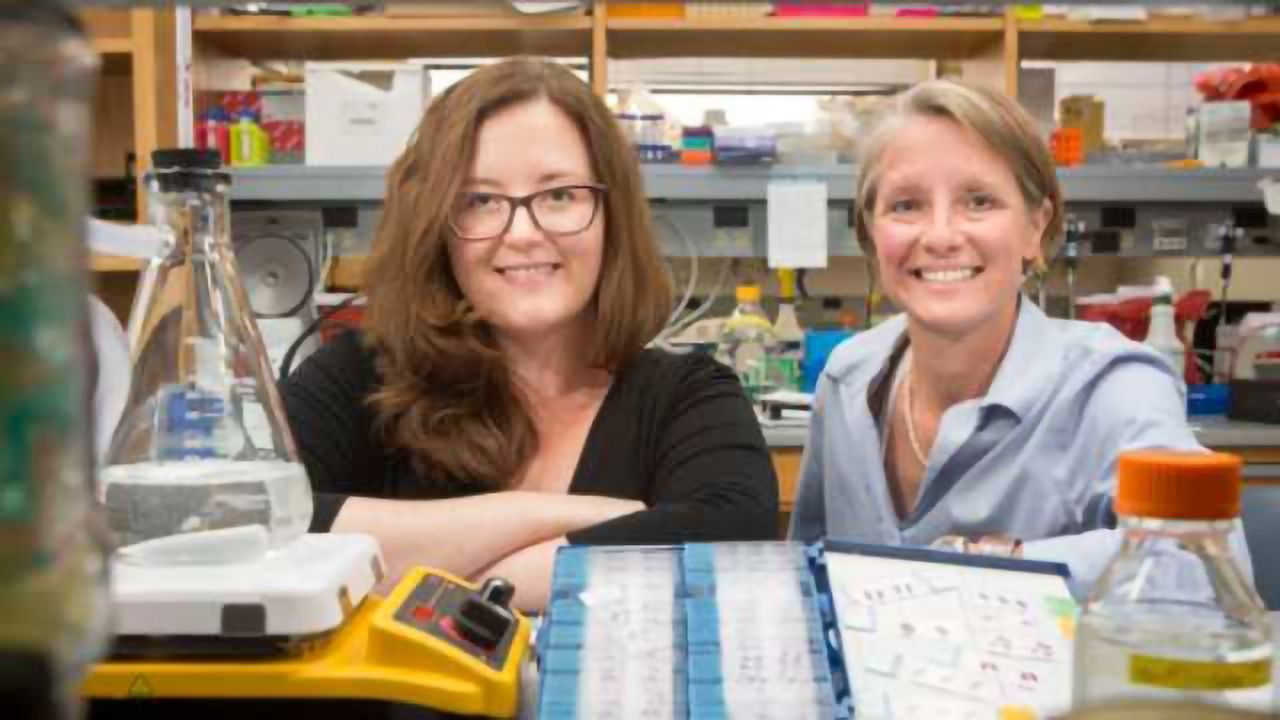 Role of Stem Cells in Chronic Lung Diseases Revealed