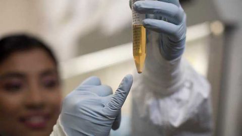 Test to Detect "Hidden" HIV Developed