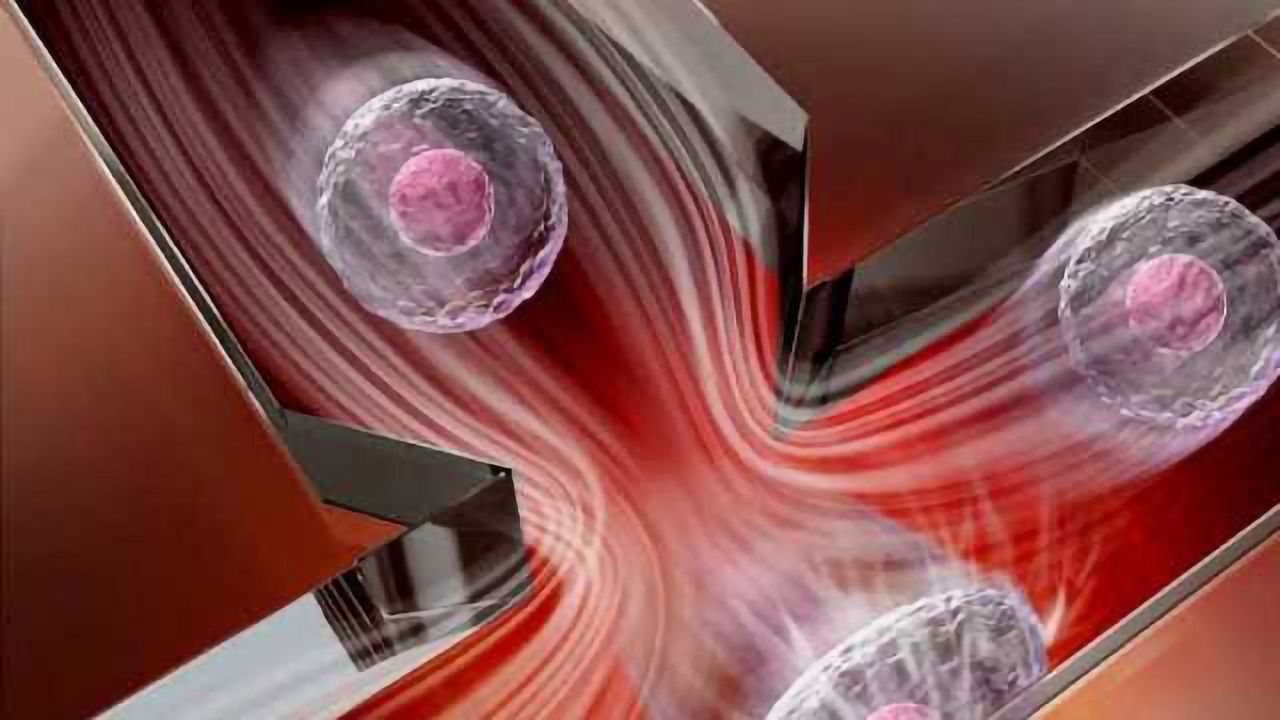 New and Practical Method to Measure Cell Stiffness Developed