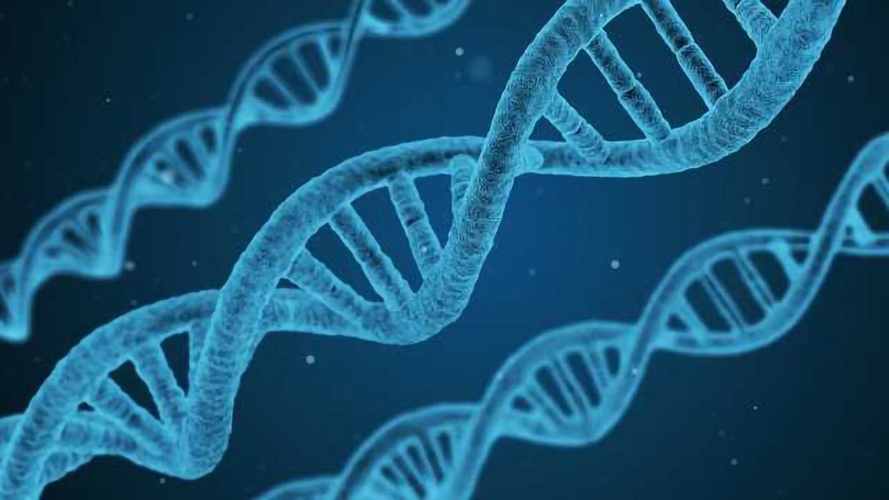 Computational Biology: Opportunities for enhancing our understanding of the epigenome