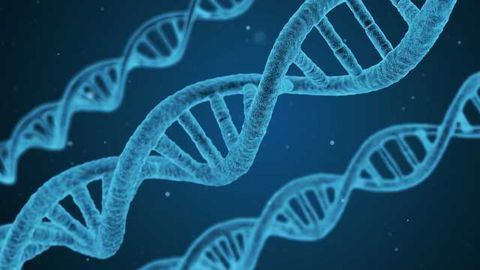 Computational Biology: Opportunities for enhancing our understanding of the epigenome