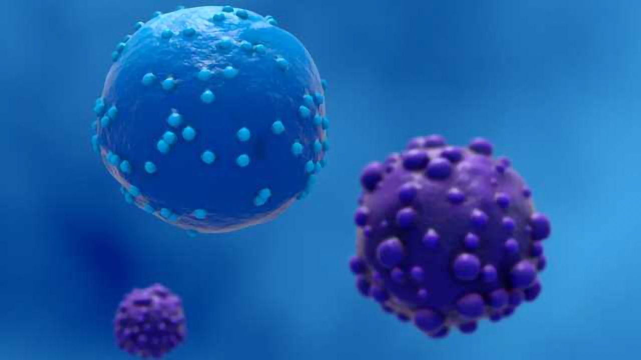 Molecular Cancer Therapeutics: Antibodies for fighting cancer