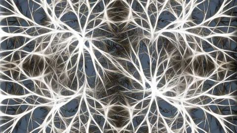 Loss of TREM2 in Microglia Significantly Impairs Brain Function
