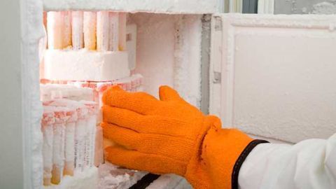 Ultra-Low Freezer Survey Results: Needs, Problems & Purchasing Considerations
