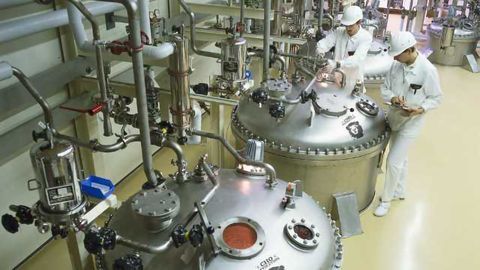 ATUM, Horizon Discovery Announce Collaboration