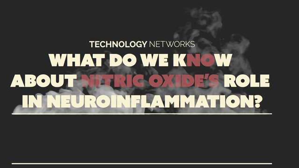 What do we KNOw About Nitric Oxide's Role in Neuroinflammation content piece image