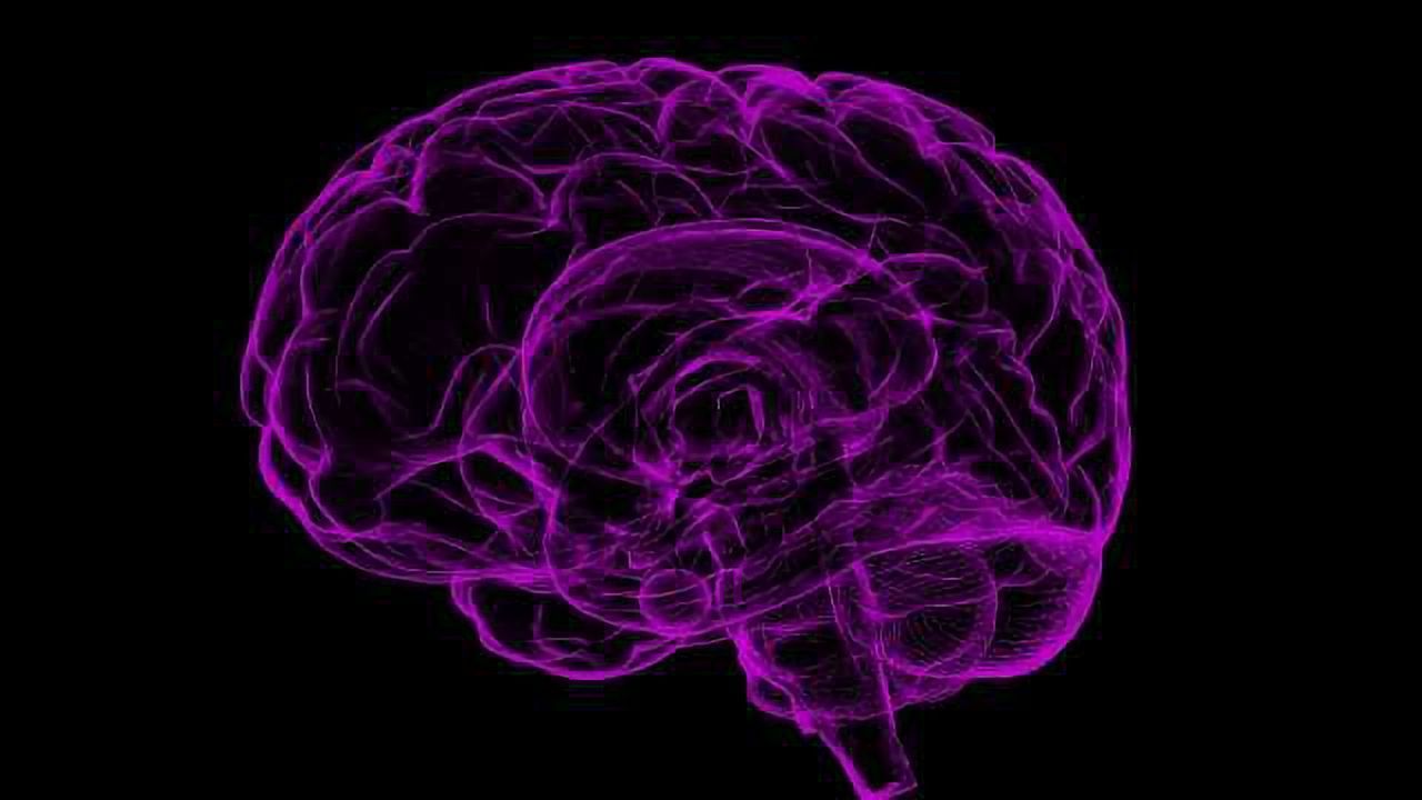 Five Years Before Brain Cancer Diagnosis, Changes Detectable in Blood