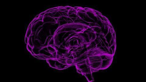 Five Years Before Brain Cancer Diagnosis, Changes Detectable in Blood