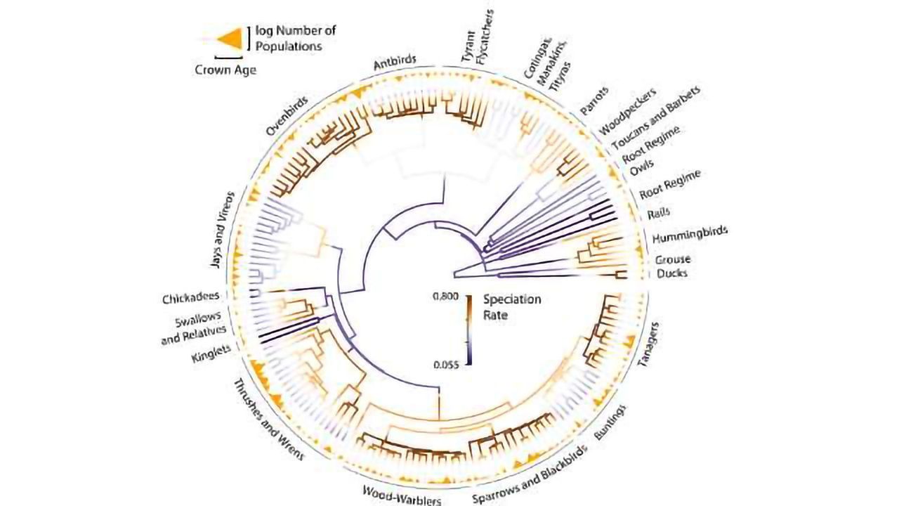 Genetic Study Confirms Previously Untested Evolutionary Assumption