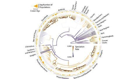 Genetic Study Confirms Previously Untested Evolutionary Assumption