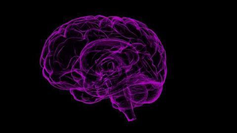 100 Genes Linked to Human Memory Encoding