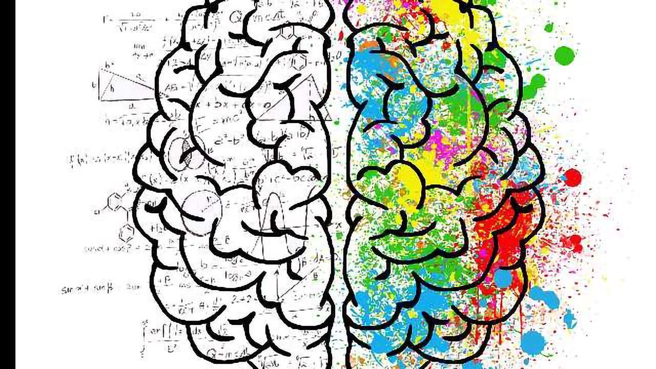 Algorithm Reads Your Mind to Interpret Brain Representation of Faces