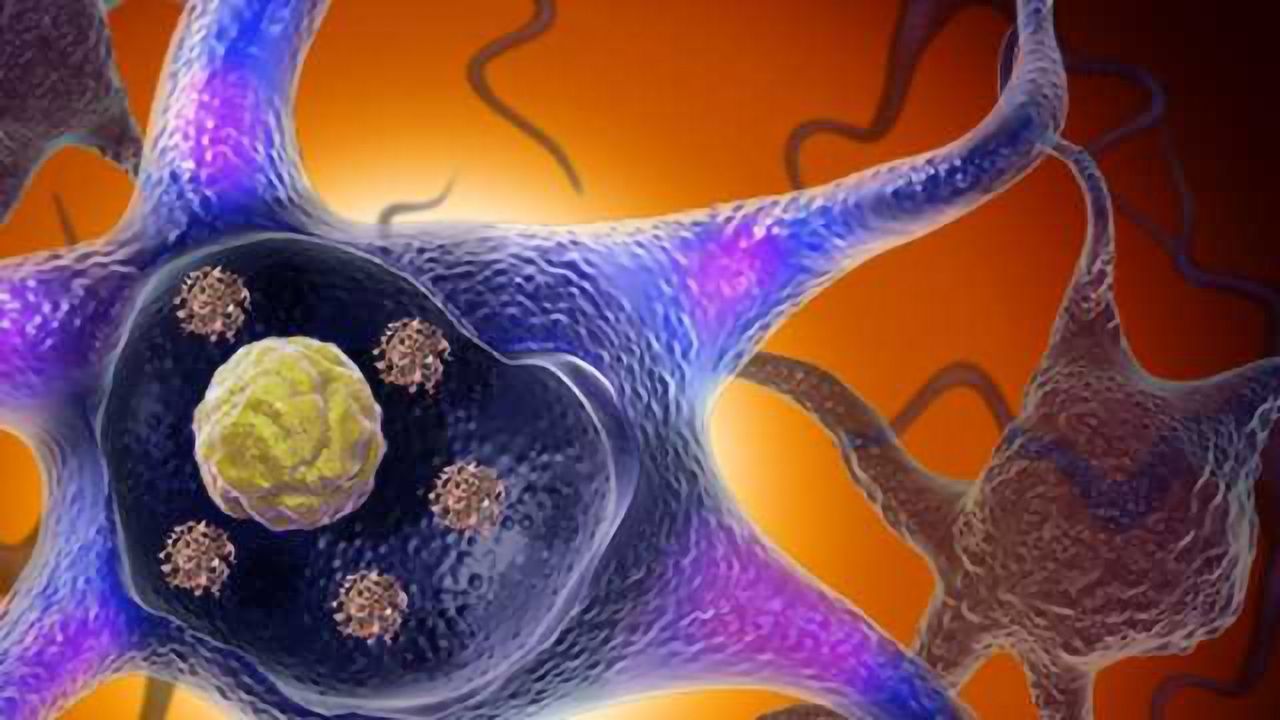 BioLegend Antibodies for Detection of α-Synuclein