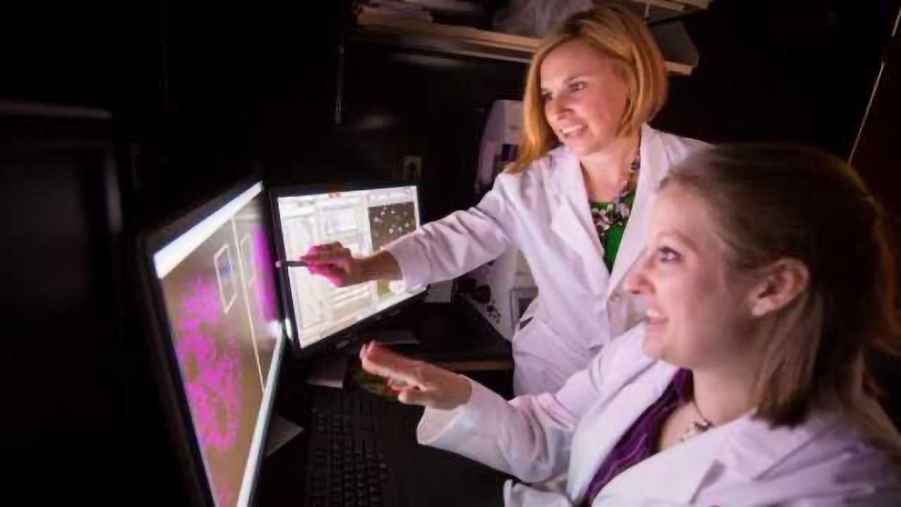 Key Controller of Biological Machinery in Cell’s ‘Antenna’ Identified
