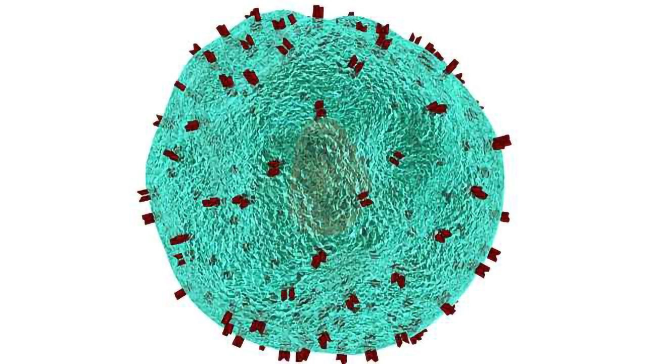 How Killer Cells Take Out Tumours