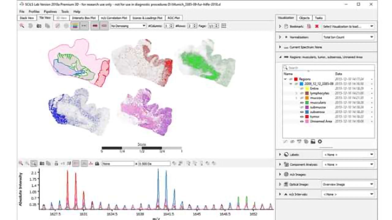 Pharmaceutical and Translational Mass Spectrometry Imaging