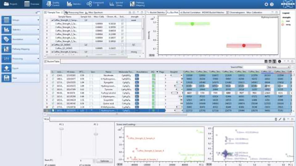 Metabolomics and Proteoform Profiling for Life-Science and Translational Research content piece image