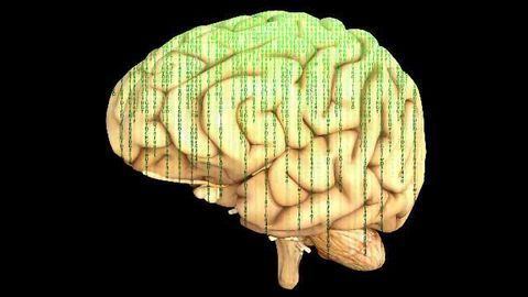 Frontoparietal Network Creates an Abstract Dynamic Image of Movements