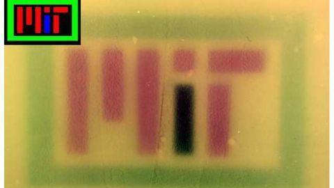 Engineered Bacteria Change Colour in Response to RGB Light