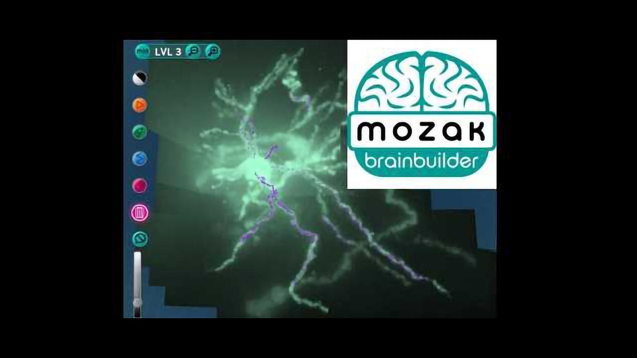 New Computer Game to Map the Brain