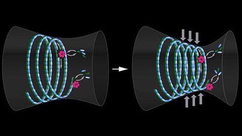 Splitting Cells: How a Dynamic Protein Machinery Executes 'The Final Cut'