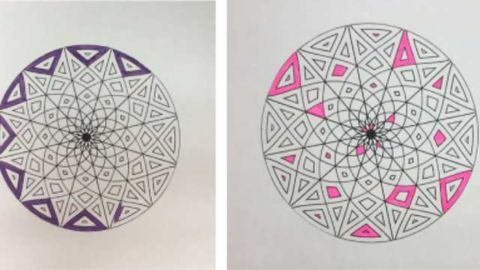 Making Art Activates Brain’s Reward Pathway